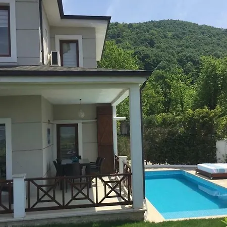 Life With Private Pool Villa Sapanca